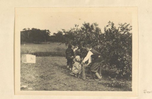 Young pupils of Hermannsberg, a branch of Schule Schloss Salem, during an outdoor performance