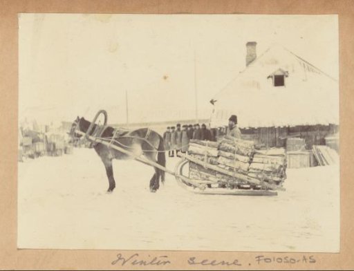 Man with a horse sleigh loaded with logs in Russia
