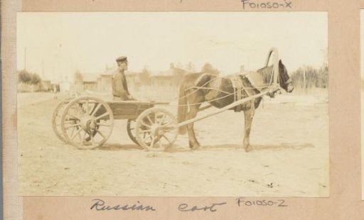 Man with horse and cart in Russia