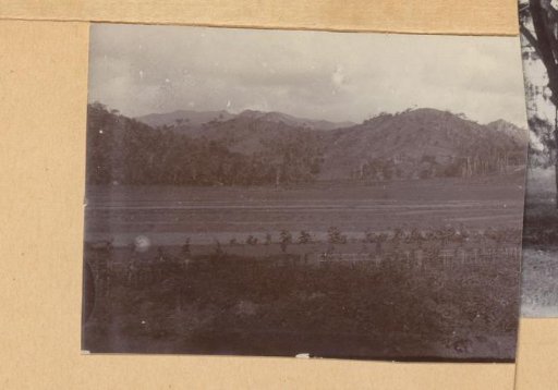View of a field at the foot of mountains in the Dutch East Indies