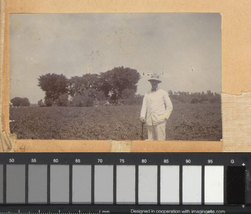 European man standing in a field in the Dutch East Indies