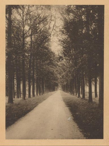 Avenue, probably in the Netherlands