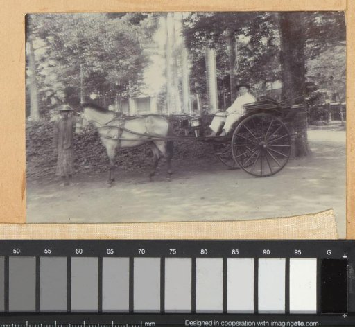European man with a dog and an Indonesian man by a carriage, probably on Java