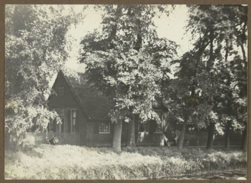 Farm under the trees in the Amsterdam region