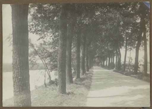 Kalfjeslaan in Amsterdam