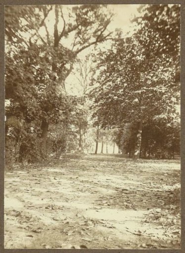 Walking path in the Amsterdam Vondelpark