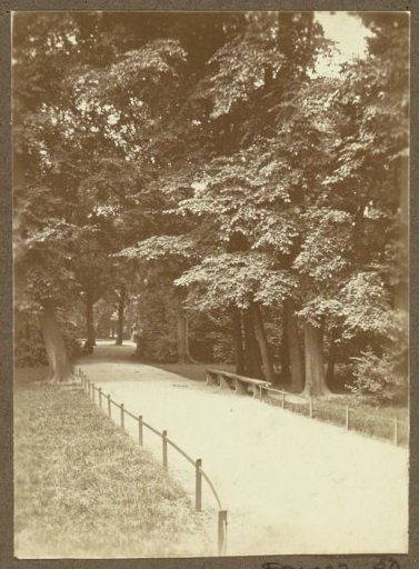 Walking path with bench in the Amsterdam Vondelpark