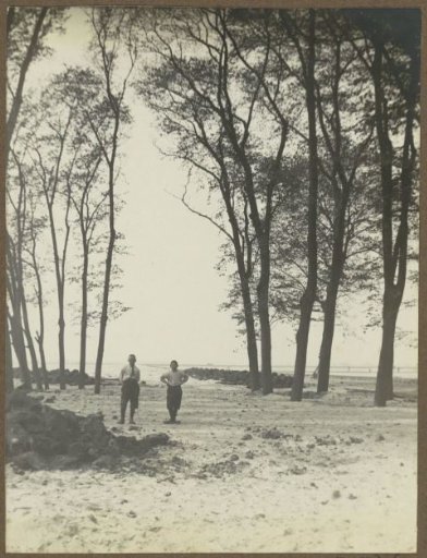 Boys under trees, presumably near Uithoorn