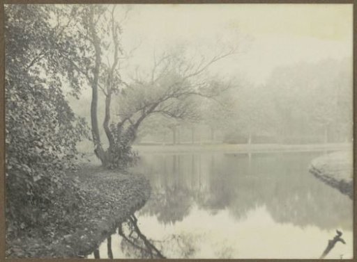 Pond in the Amsterdam Vondelpark