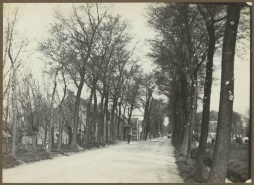 Houses and trees along the Amstelveenseweg