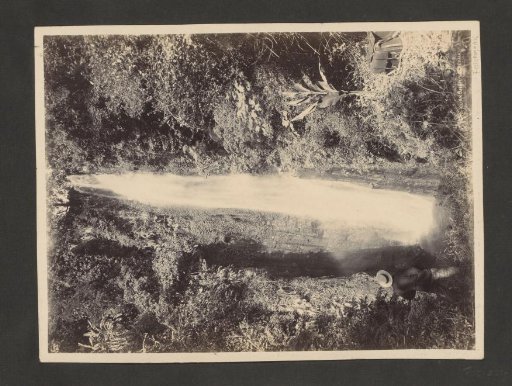 Man viewing a waterfall in a forest in the Dutch East Indies