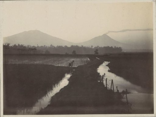Man working in the fields at the foot of a smoking volcano