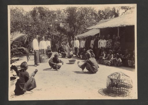 Men at a cockfight on a courtyard in the Dutch East Indies