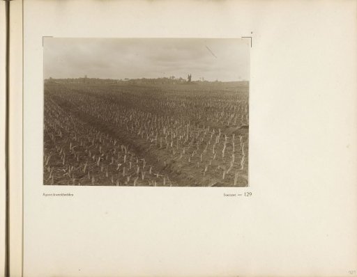 Page 129 from the photo album of the General Association of Rubber Planters on the East Coast of Sumatra (A.V.R.O.S.)