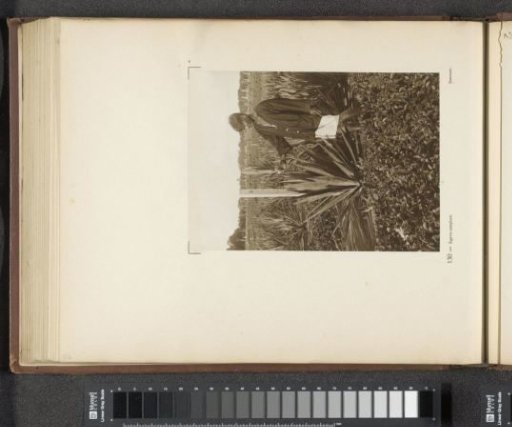 Page 130 from the photo album of the General Association of Rubber Planters on the East Coast of Sumatra (A.V.R.O.S.)