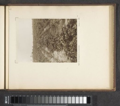 Page 131 from the photo album of the General Association of Rubber Planters on the East Coast of Sumatra (A.V.R.O.S.)