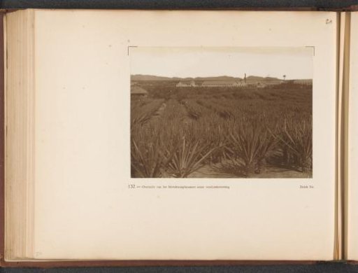 Page 132 from the photo album of the General Association of Rubber Planters on the East Coast of Sumatra (A.V.R.O.S.)