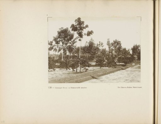Page 138 from the photo album of the General Association of Rubber Planters on the East Coast of Sumatra (A.V.R.O.S.)