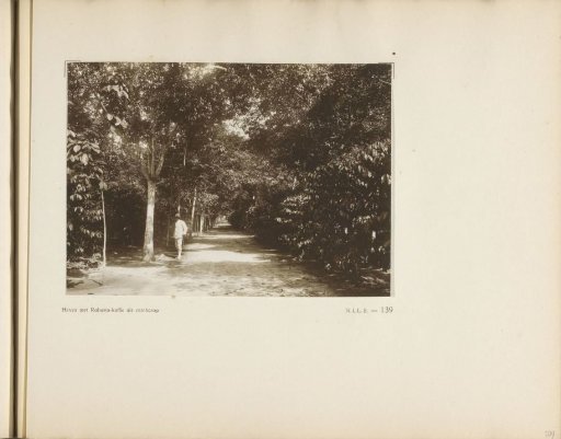 Page 139 from the photo album of the General Association of Rubber Planters on the East Coast of Sumatra (A.V.R.O.S.)