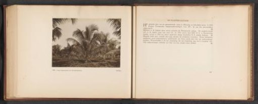 Pages 146 and 147 from the photo album of the General Association of Rubber Planters on the East Coast of Sumatra (A.V.R.O.S.)