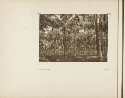 Page 148 from the photo album of the General Association of Rubber Planters on the East Coast of Sumatra (A.V.R.O.S.)