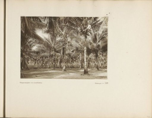 Page 149 from the photo album of the General Association of Rubber Planters on the East Coast of Sumatra (A.V.R.O.S.)