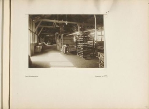 Page 153 from the photo album of the General Association of Rubber Planters on the East Coast of Sumatra (A.V.R.O.S.)