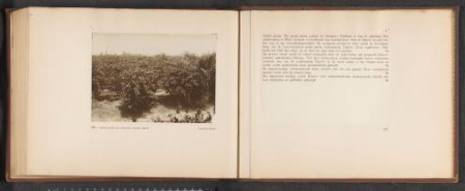 Pages 156 and 157 from the photo album of the General Association of Rubber Planters on the East Coast of Sumatra (A.V.R.O.S.)