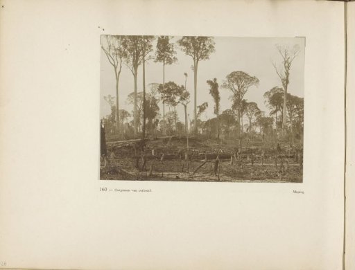 Page 160 from the photo album of the General Association of Rubber Planters on the East Coast of Sumatra (A.V.R.O.S.)