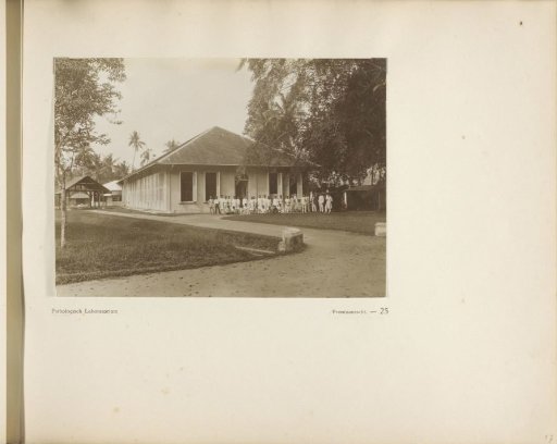 Page 25 of the photo album of the General Association of Rubber Planters on the East Coast of Sumatra (A.V.R.O.S.)