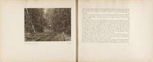 Pages 34 and 35 from the photo album of the General Association of Rubber Planters on the East Coast of Sumatra (A.V.R.O.S.)