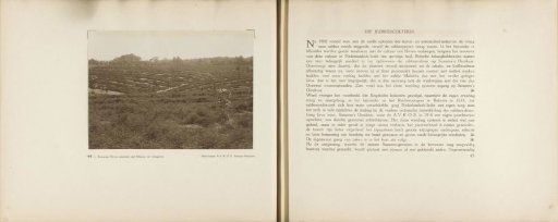 Pages 44 and 45 from the photo album of the General Association of Rubber Planters on the East Coast of Sumatra (A.V.R.O.S.)