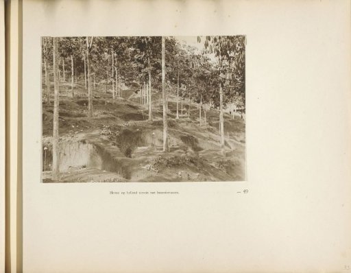 Page 49 of the photo album of the General Association of Rubber Planters on the East Coast of Sumatra (A.V.R.O.S.)