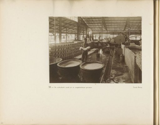Page 58 of the photo album of the General Association of Rubber Planters on the East Coast of Sumatra (A.V.R.O.S.)