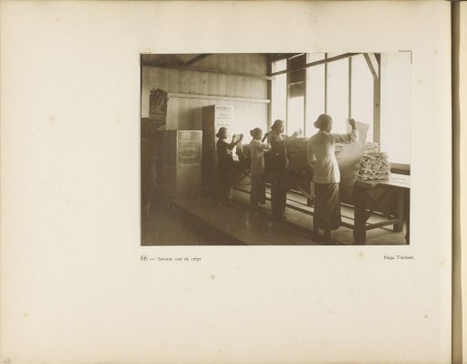 Page 66 of the photo album of the General Association of Rubber Planters on the East Coast of Sumatra (A.V.R.O.S.)