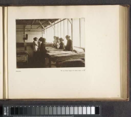 Page 67 of the photo album of the General Association of Rubber Planters on the East Coast of Sumatra (A.V.R.O.S.)