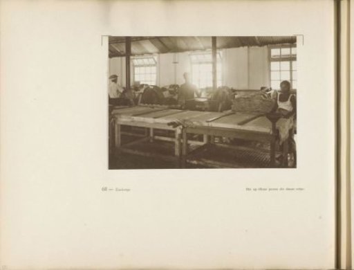 Page 68 of the photo album of the General Association of Rubber Planters on the East Coast of Sumatra (A.V.R.O.S.)