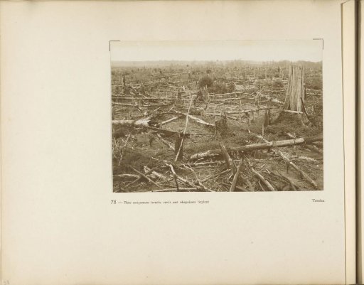 Page 78 from the photo album of the Algemeene Vereeniging van Rubberplanters ter Oostkust van Sumatra (A.V.R.O.S.)