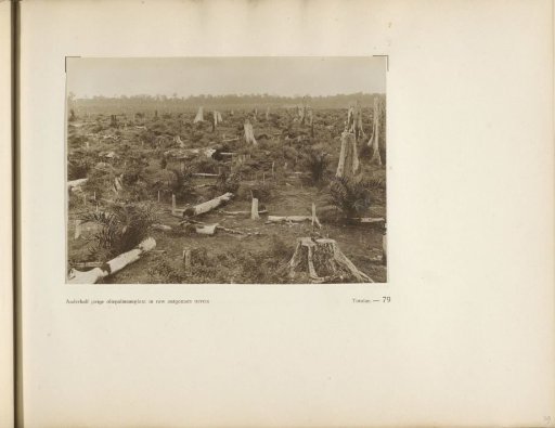 Page 79 from the photo album of the Algemeene Vereeniging van Rubberplanters ter Oostkust van Sumatra (A.V.R.O.S.)