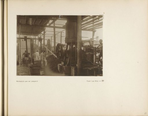 Page 89 from the photo album of the General Association of Rubber Planters on the East Coast of Sumatra (A.V.R.O.S.)