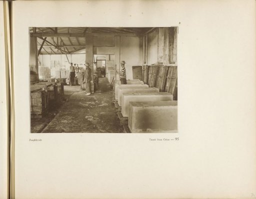 Page 95 from the photo album of the General Association of Rubber Planters on the East Coast of Sumatra (A.V.R.O.S.)