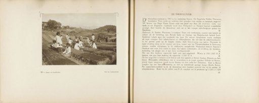 Pages 96 and 97 from the photo album of the General Association of Rubber Planters on the East Coast of Sumatra (A.V.R.O.S.)