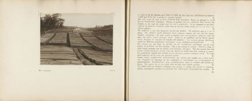 Pages 98 and 99 from the photo album of the General Association of Rubber Planters on the East Coast of Sumatra (A.V.R.O.S.)