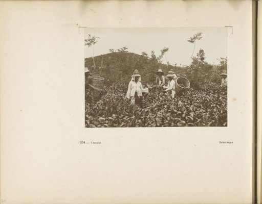 Page 104 from the photo album of the General Association of Rubber Planters on the East Coast of Sumatra (A.V.R.O.S.)