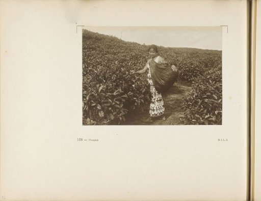 Page 106 from the photo album of the General Association of Rubber Planters on the East Coast of Sumatra (A.V.R.O.S.)