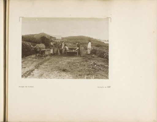 Page 107 from the photo album of the General Association of Rubber Planters on the East Coast of Sumatra (A.V.R.O.S.)