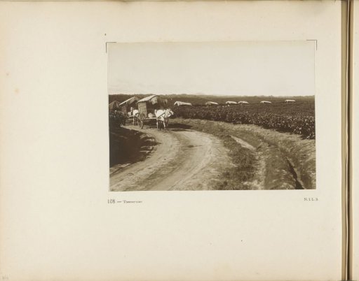 Page 108 from the photo album of the General Association of Rubber Planters on the East Coast of Sumatra (A.V.R.O.S.)