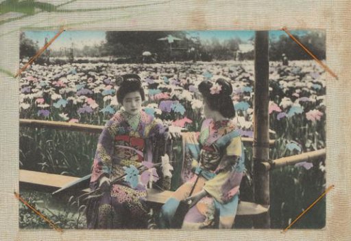 Two Japanese women in colored kimonos, sitting on a bench before a flower field