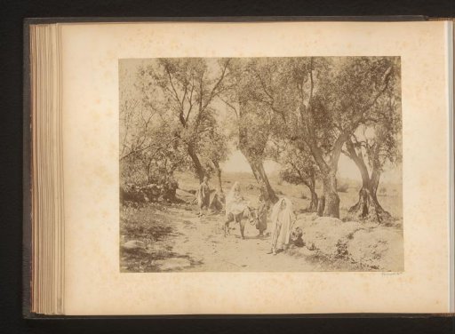 Men and woman with donkey on a path