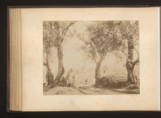 Marabouts near a ruin at Tlemcen